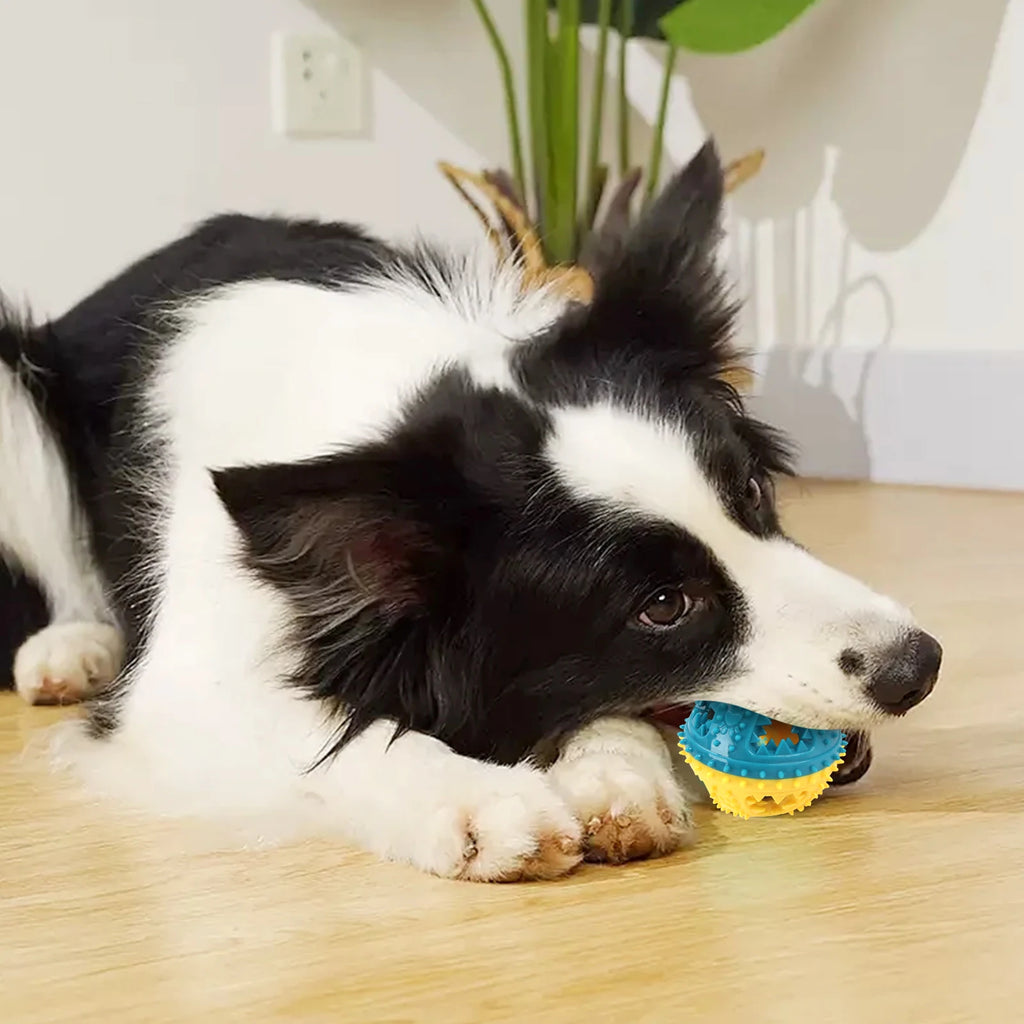 Dog Chew Toy - Interactive Sound Ball for Teeth Cleaning & Training - JENZOS