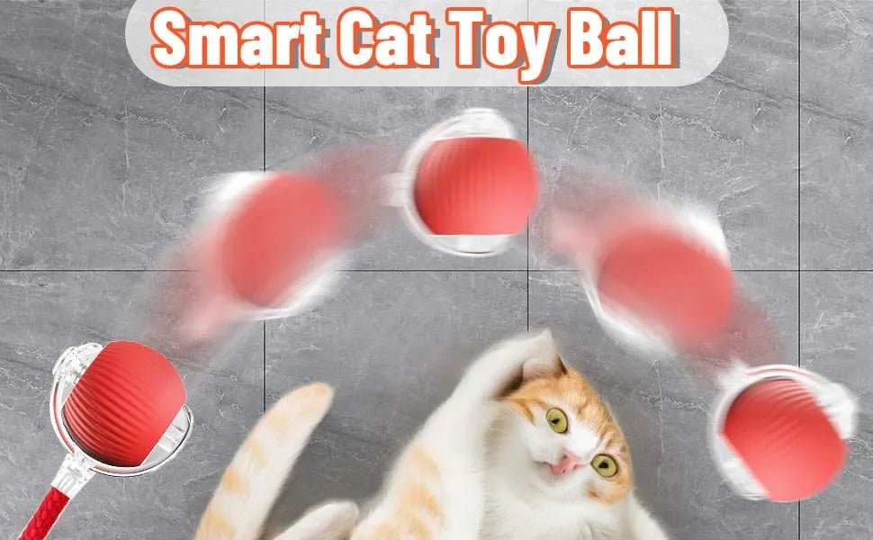Dog Cat Interactive Ball Toy Automatic Rolling Ball Faux Tail Rechargeable Smart Pet Electric Toy Dog Cat Training Imitate Mouse - JENZOS