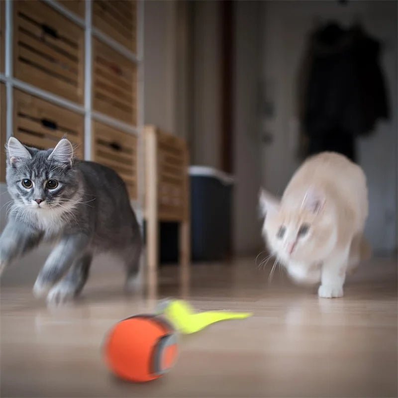 Smart Cat Toys Ball Automatic Interactive Pets Electric Rolling Teaser USB Rechargeable Kitty Moving Bouncing ball Birthday gift - JENZOS