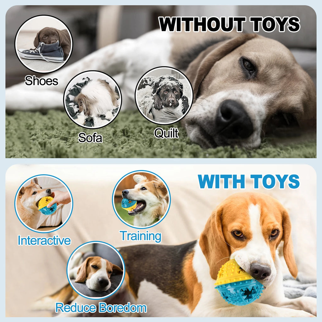 Dog Chew Toy - Interactive Sound Ball for Teeth Cleaning & Training - JENZOS
