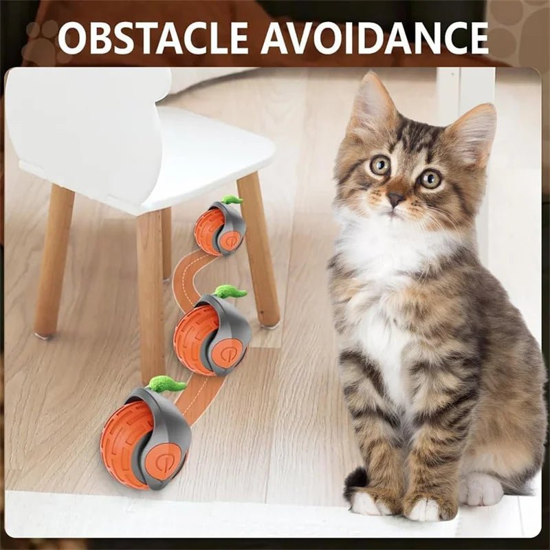 Smart Cat Toys Ball Automatic Interactive Pets Electric Rolling Teaser USB Rechargeable Kitty Moving Bouncing ball Birthday gift - JENZOS
