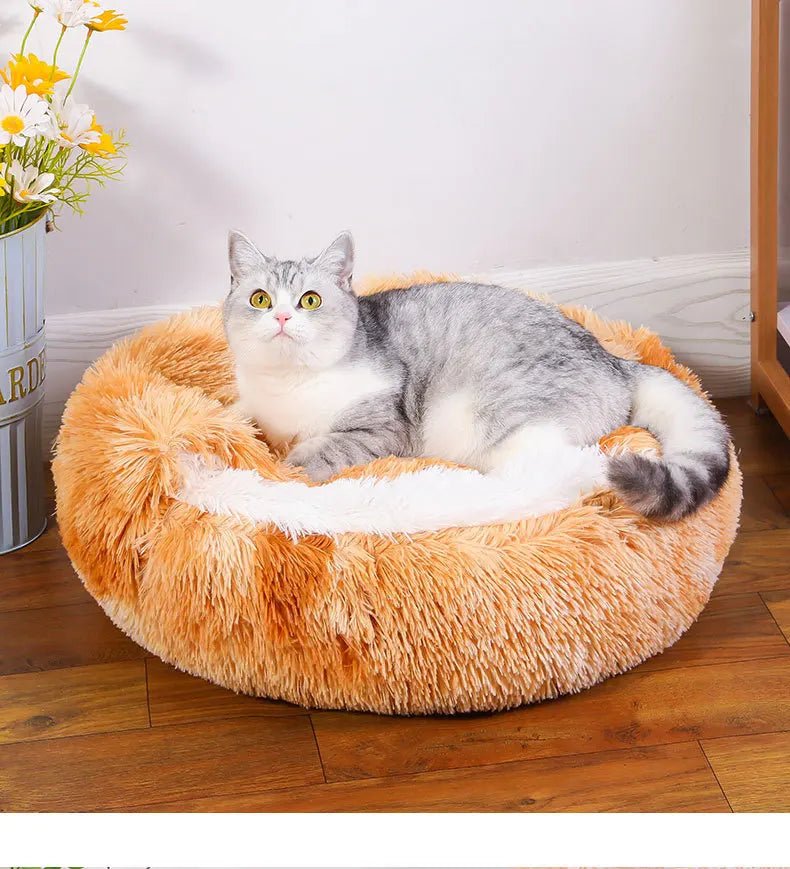 Winter Plush Pet Cat Bed Round Cat Cushion Cat House 2 in 1 Warm Cat Basket Pet Sleep Bag Cat Nest Kennel for Small Dog Suit New - JENZOS
