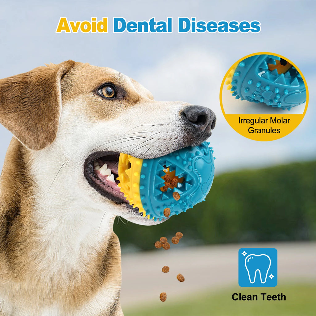 Dog Chew Toy - Interactive Sound Ball for Teeth Cleaning & Training - JENZOS