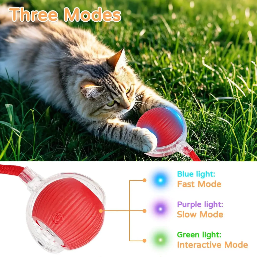Dog Cat Interactive Ball Toy Automatic Rolling Ball Faux Tail Rechargeable Smart Pet Electric Toy Dog Cat Training Imitate Mouse - JENZOS