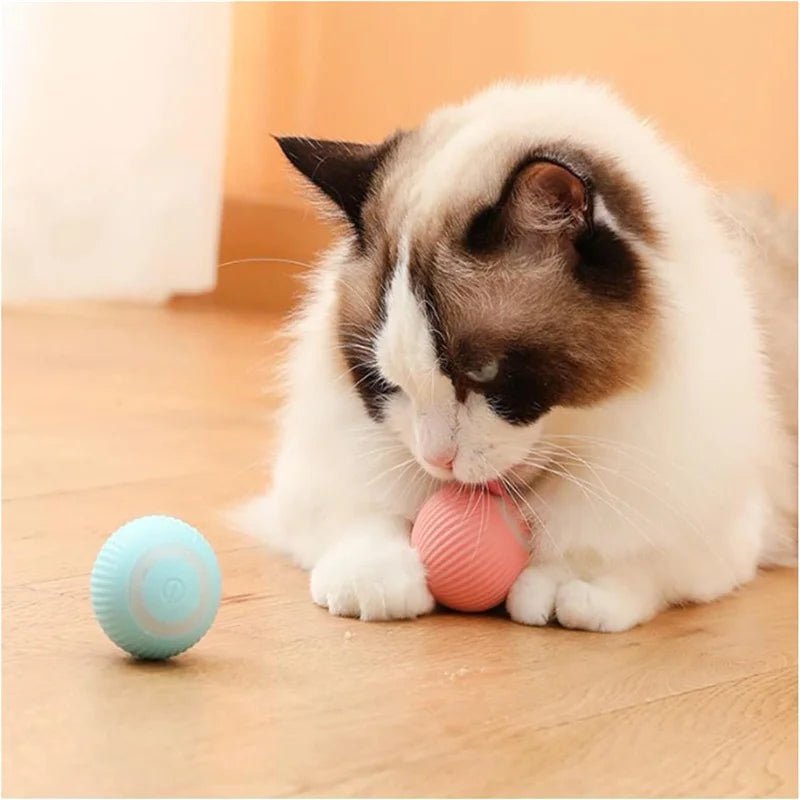 Smart Cat Toys Ball Automatic Interactive Pets Electric Rolling Teaser USB Rechargeable Kitty Moving Bouncing ball Birthday gift - JENZOS