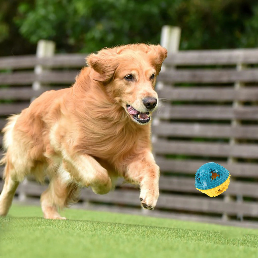 Dog Chew Toy - Interactive Sound Ball for Teeth Cleaning & Training - JENZOS
