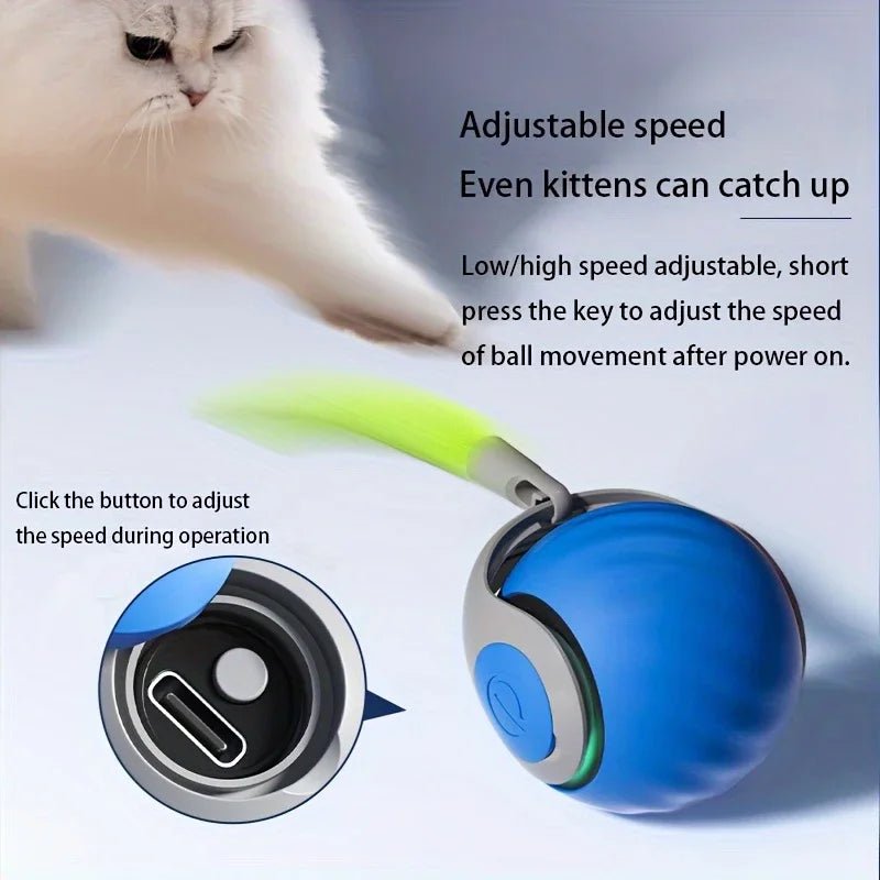 Smart Cat Toys Ball Automatic Interactive Pets Electric Rolling Teaser USB Rechargeable Kitty Moving Bouncing ball Birthday gift - JENZOS
